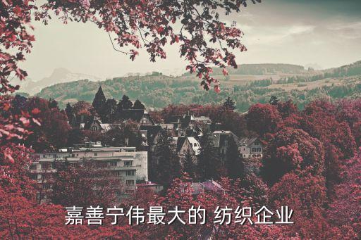 嘉善寧偉最大的 紡織企業(yè)