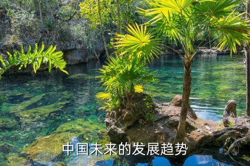 中國未來的發(fā)展趨勢
