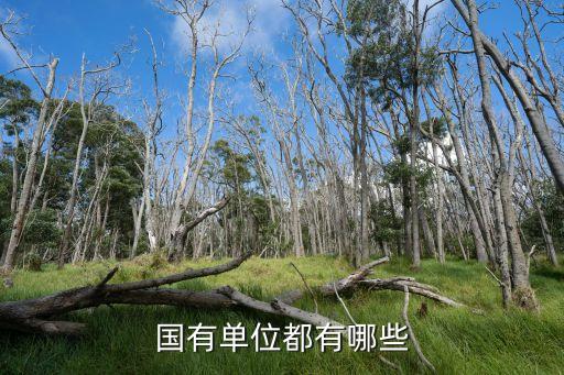 中國紡織設(shè)計研究院,河南省紡織設(shè)計研究院有限公司