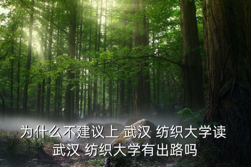 武漢紡織學(xué)院怎么樣