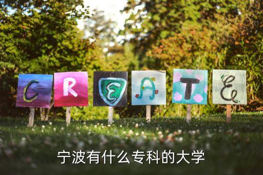 寧波有什么?？频拇髮W(xué)