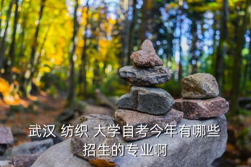 武漢紡織大學(xué)2015招生簡(jiǎn)章