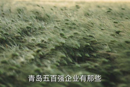 青島五百?gòu)?qiáng)企業(yè)有那些
