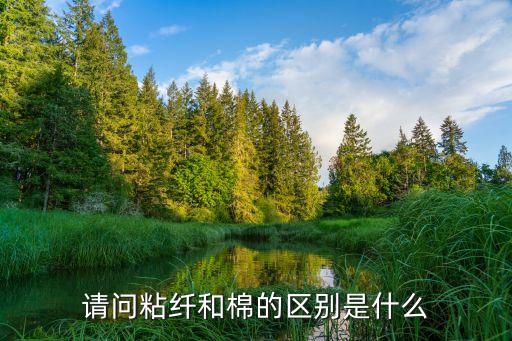 請(qǐng)問(wèn)粘纖和棉的區(qū)別是什么
