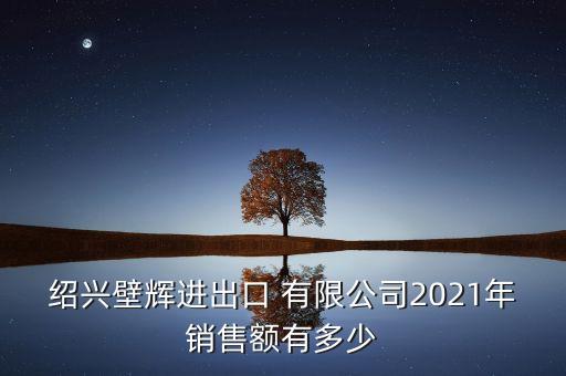 紹興壁輝進(jìn)出口 有限公司2021年銷售額有多少
