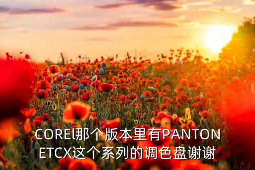 COREl那個(gè)版本里有PANTONETCX這個(gè)系列的調(diào)色盤謝謝
