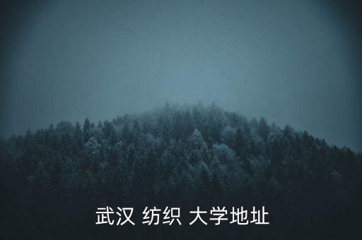 武漢紡織大學(xué)東湖校區(qū)簡介