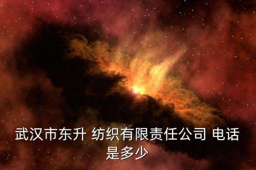 武漢市東升 紡織有限責(zé)任公司 電話是多少