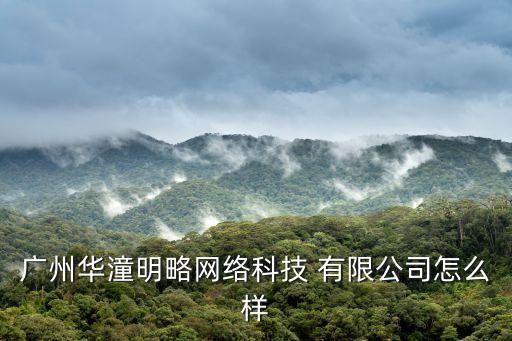 廣州華潼明略網(wǎng)絡(luò)科技 有限公司怎么樣