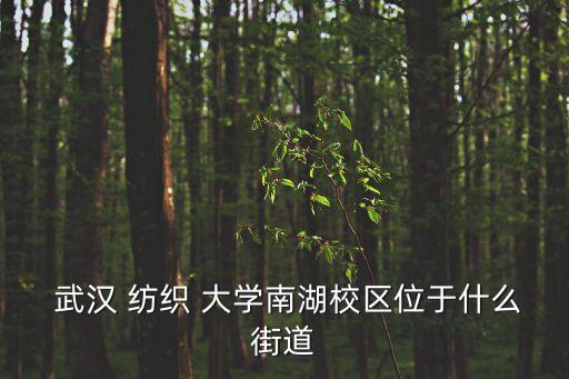  武漢 紡織 大學(xué)南湖校區(qū)位于什么街道