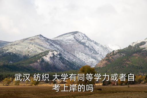  武漢 紡織 大學(xué)有同等學(xué)力或者自考上岸的嗎