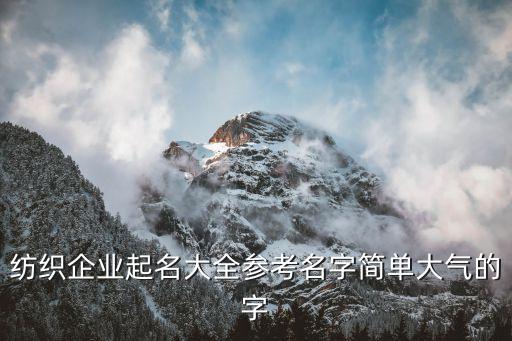 法國紡織業(yè)公司名稱,法國具有代表性的汽車公司名稱