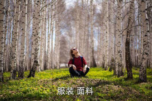 服裝 面料