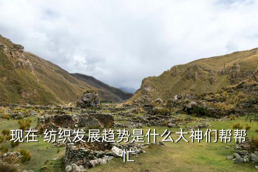 現(xiàn)在 紡織發(fā)展趨勢是什么大神們幫幫忙