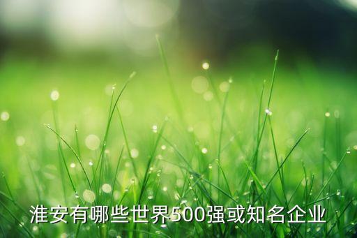 淮安有哪些世界500強或知名企業(yè)