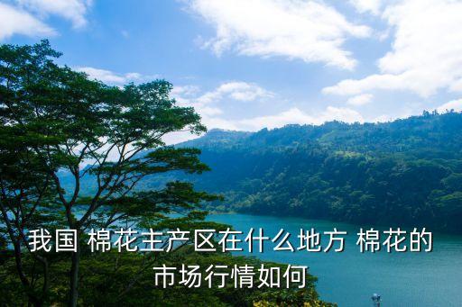 紡織業(yè)棉花價(jià)格,棉花價(jià)格變動(dòng)對(duì)紡織業(yè)的影響