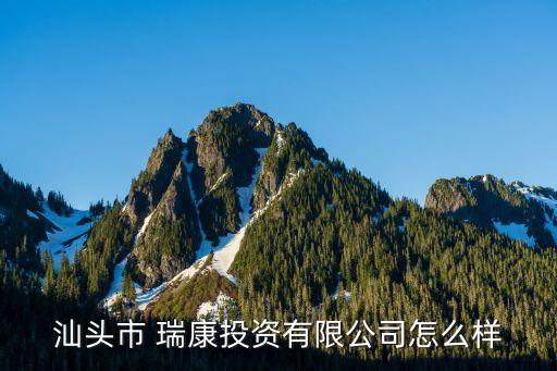 汕頭市 瑞康投資有限公司怎么樣