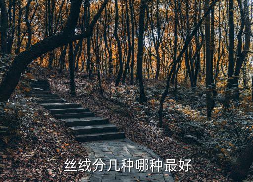  絲絨分幾種哪種最好