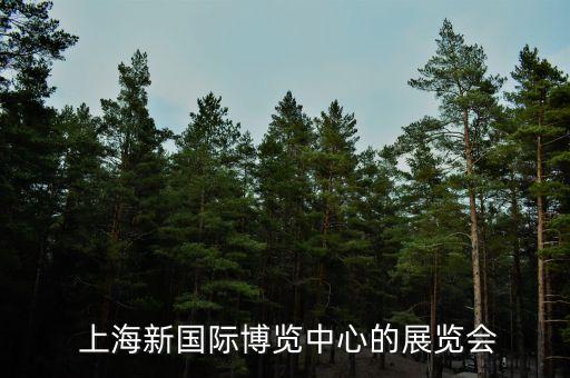 上海 紡織面料 展會,上海紡織面料展會2022年時間表