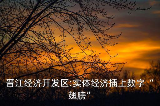 晉江經(jīng)濟(jì)開發(fā)區(qū):實(shí)體經(jīng)濟(jì)插上數(shù)字“翅膀”