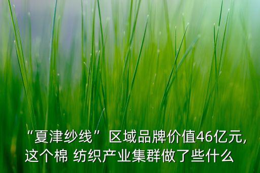“夏津紗線”區(qū)域品牌價(jià)值46億元,這個(gè)棉 紡織產(chǎn)業(yè)集群做了些什么
