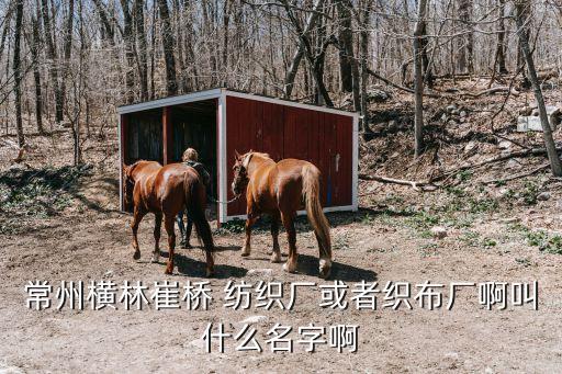 常州橫林崔橋 紡織廠或者織布廠啊叫什么名字啊