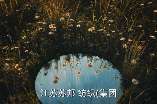 常州德凱紡織有限公司,常州立達(dá)紡織儀器有限公司
