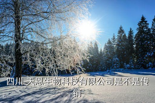 紹興天恩國際紡織,紹興國際紡織城