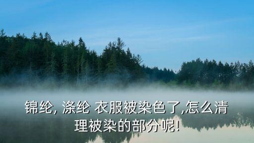 錦綸, 滌綸 衣服被染色了,怎么清理被染的部分呢!