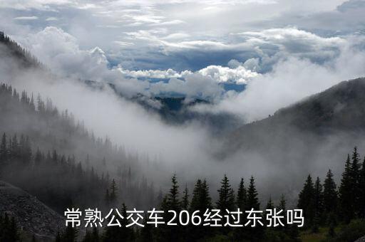  常熟公交車206經(jīng)過東張嗎