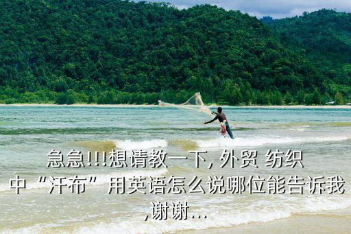 急急!!!想請教一下, 外貿(mào) 紡織中“汗布”用英語怎么說哪位能告訴我,謝謝...