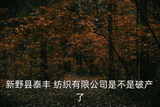 新野縣泰豐 紡織有限公司是不是破產(chǎn)了