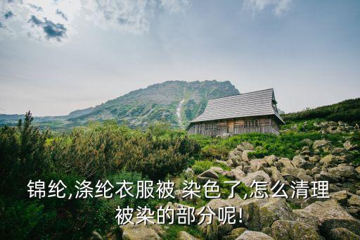 錦綸,滌綸衣服被 染色了,怎么清理被染的部分呢!