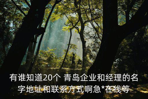 有誰知道20個 青島企業(yè)和經(jīng)理的名字地址和聯(lián)系方式啊急*在線等