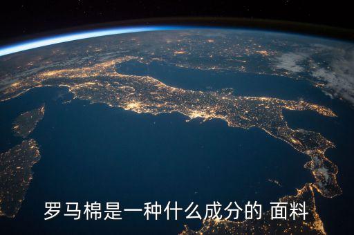 意大利高端面料