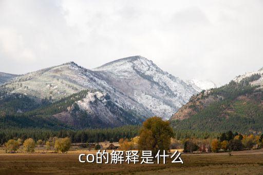 法國紡織品城市,湖北應城市紡織品公司