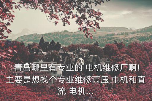  青島哪里有專業(yè)的 電機維修廠啊!主要是想找個專業(yè)維修高壓 電機和直流 電機...
