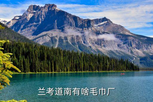 蘭考道南有啥毛巾廠