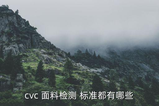cvc 面料檢測(cè) 標(biāo)準(zhǔn)都有哪些