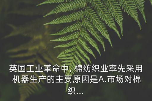 棉紡織機(jī)器,印度是最大的棉紡織中心
