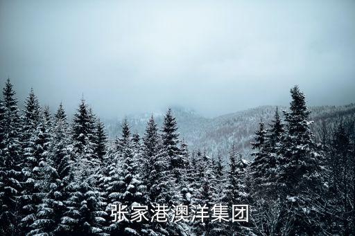  張家港澳洋集團