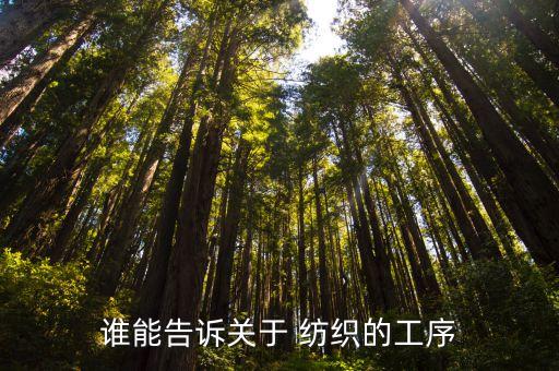 誰能告訴關(guān)于 紡織的工序
