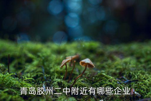 青島膠州二中附近有哪些企業(yè)