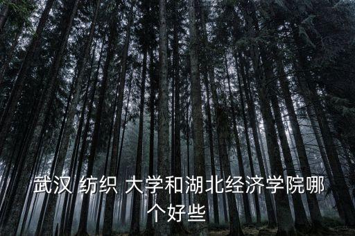 武漢紡織大學(xué)權(quán)