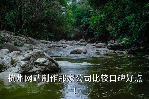  杭州網(wǎng)站制作那家公司比較口碑好點!