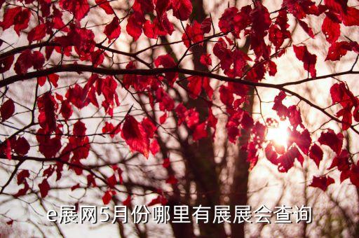 e展網(wǎng)5月份哪里有展展會查詢