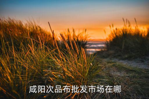咸陽紡織集團(tuán)二分廠