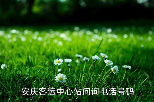 安慶清怡紡織