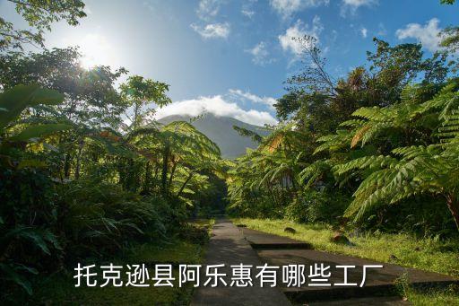 托克遜縣阿樂惠有哪些工廠