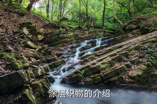  涂層織物的介紹